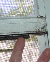 windowrubber